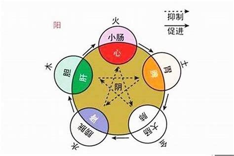 股票五行|股票五行属什么行业？股票五行属性的实际应用如何？